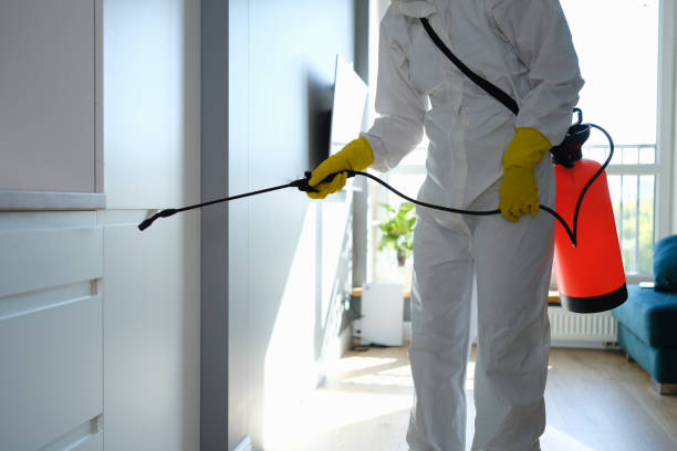 Best Commercial Mold Remediation in Hansville, WA